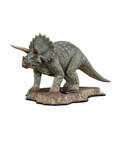 Triceratops