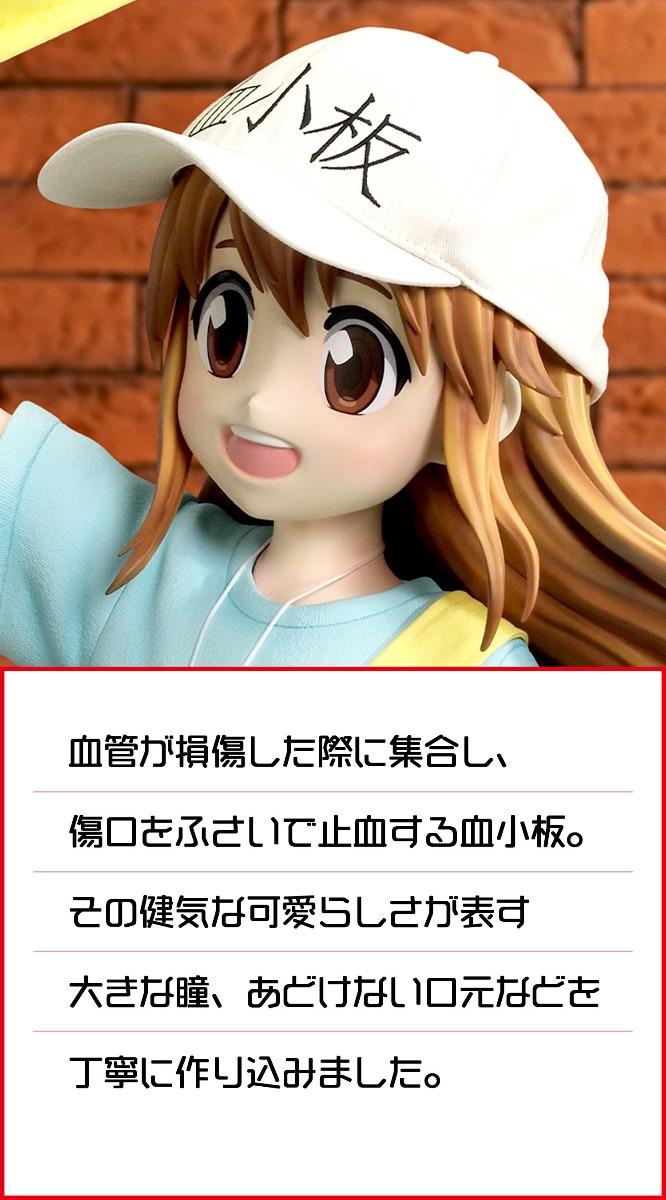 はたらく細胞 血小板　6