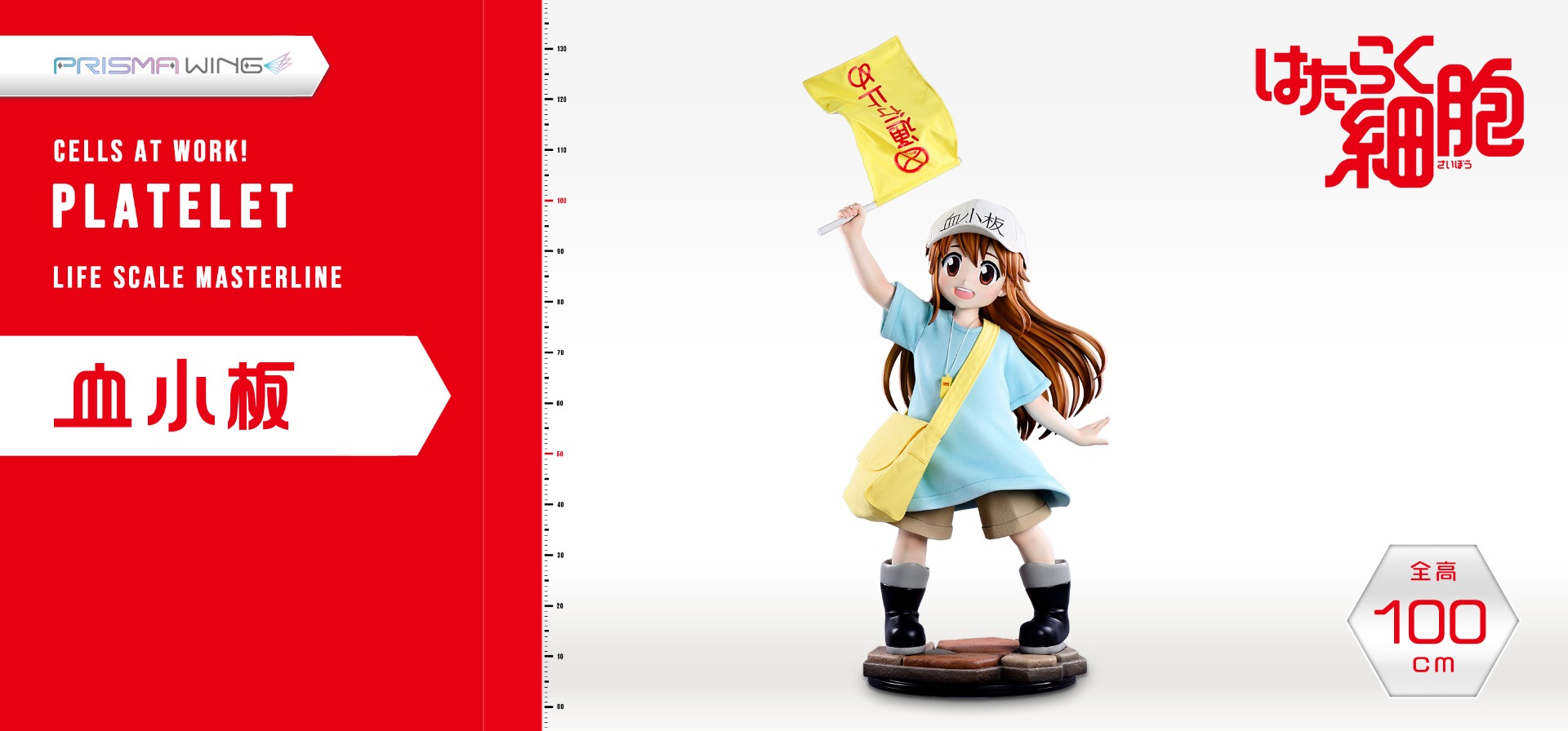 はたらく細胞 血小板　2
