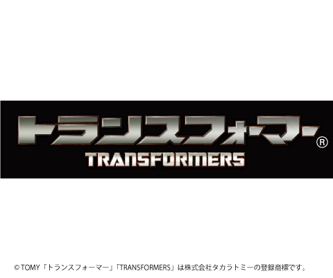 Transformers Series